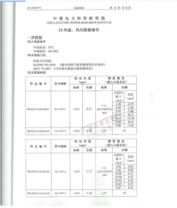 产品检验报告
