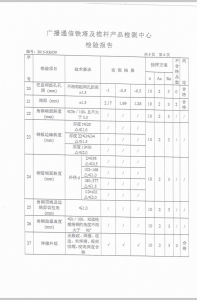 产品检验报告