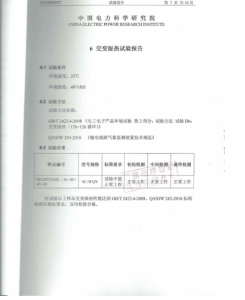 产品检验报告