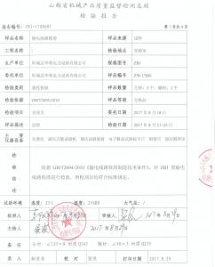 220kv检测报告