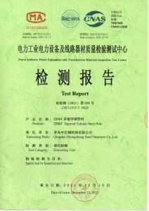 钢管塔检验报告