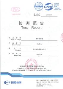 产品检验报告